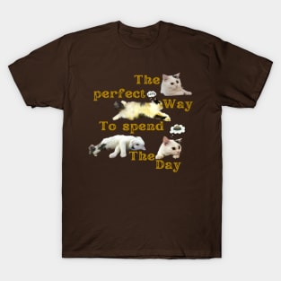 the perfect way to spend the day T-Shirt